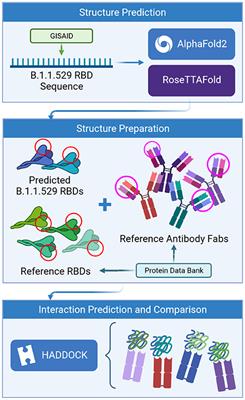 Predictions of the SARS-CoV-2 Omicron Variant (B.1.1.529) Spike Protein Receptor-Binding Domain Structure and Neutralizing Antibody Interactions